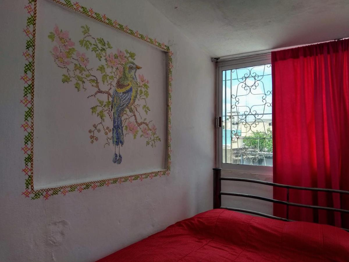 Casa Mestiza Διαμέρισμα Mérida Εξωτερικό φωτογραφία